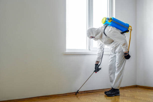 Best Real Estate Pest Inspections  in Ord, NE